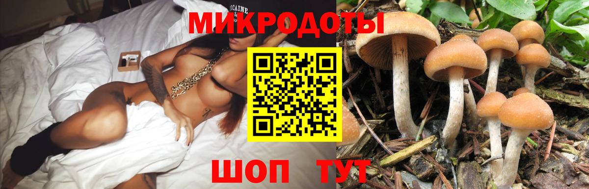 Галлюциногенные грибы ЛСД Людиново